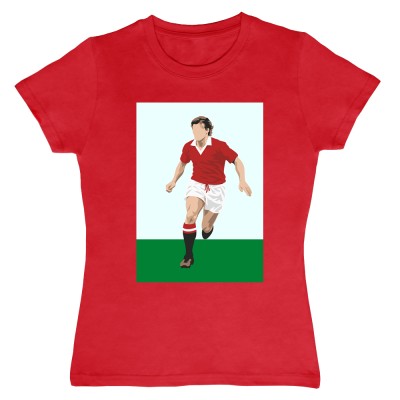 Steve Coppell Stylised